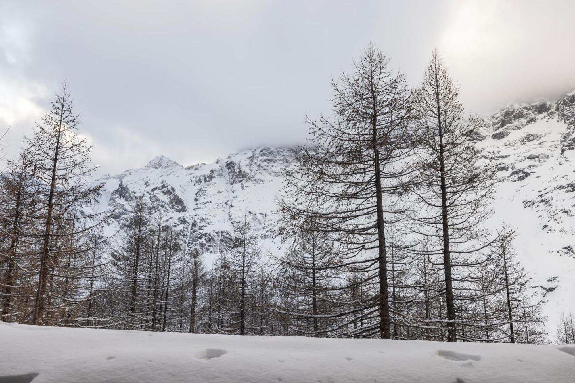 Erikzang - Cervinia Ski In Ski Out Apartments Breuil-Cervinia Exteriér fotografie